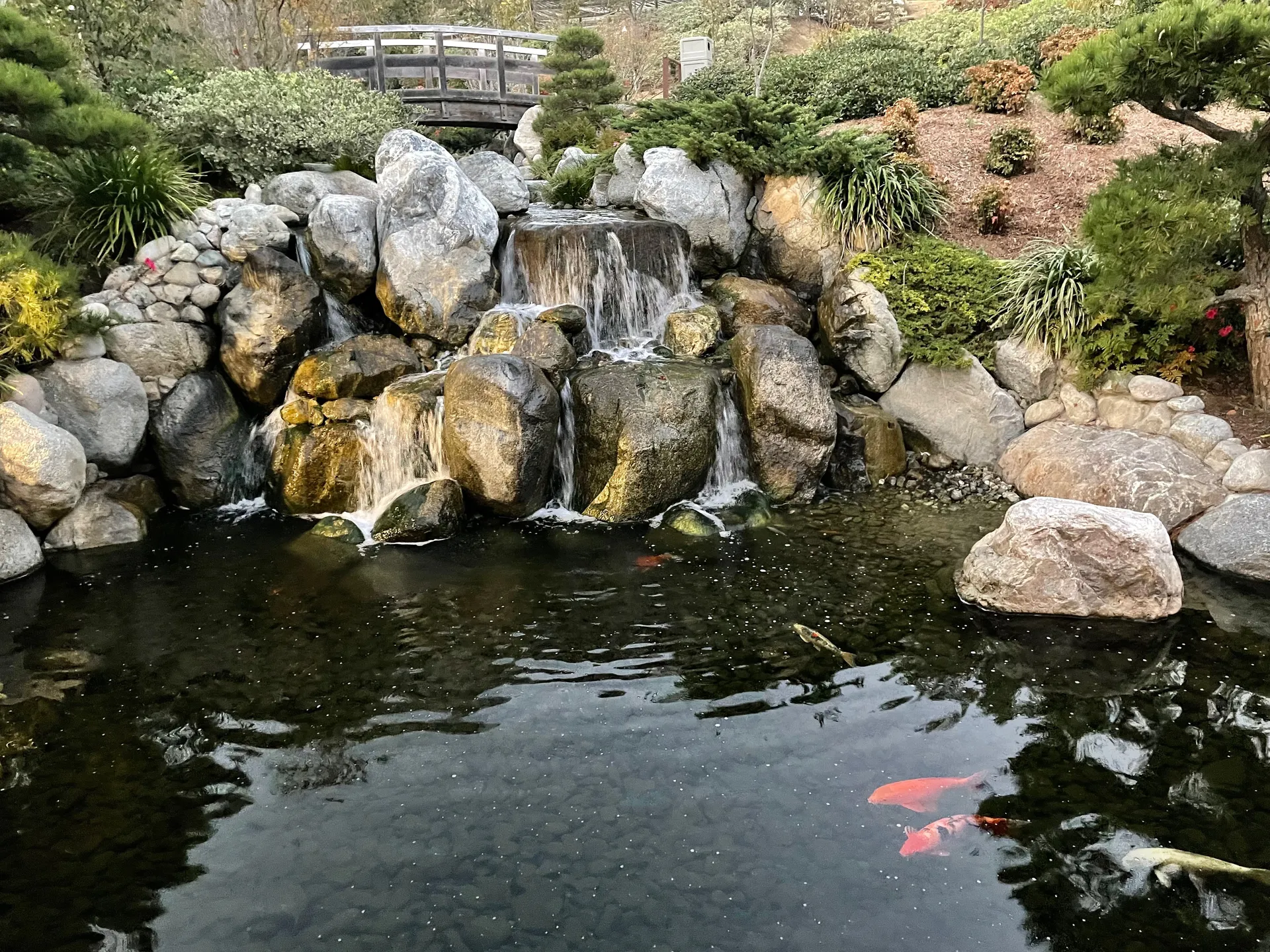 Belinda OnlyFans header