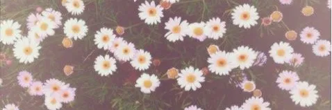 Belinda cook OnlyFans header