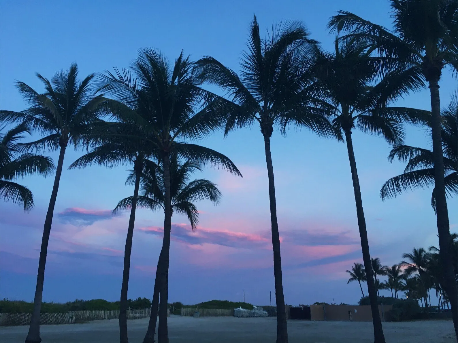 belis OnlyFans header