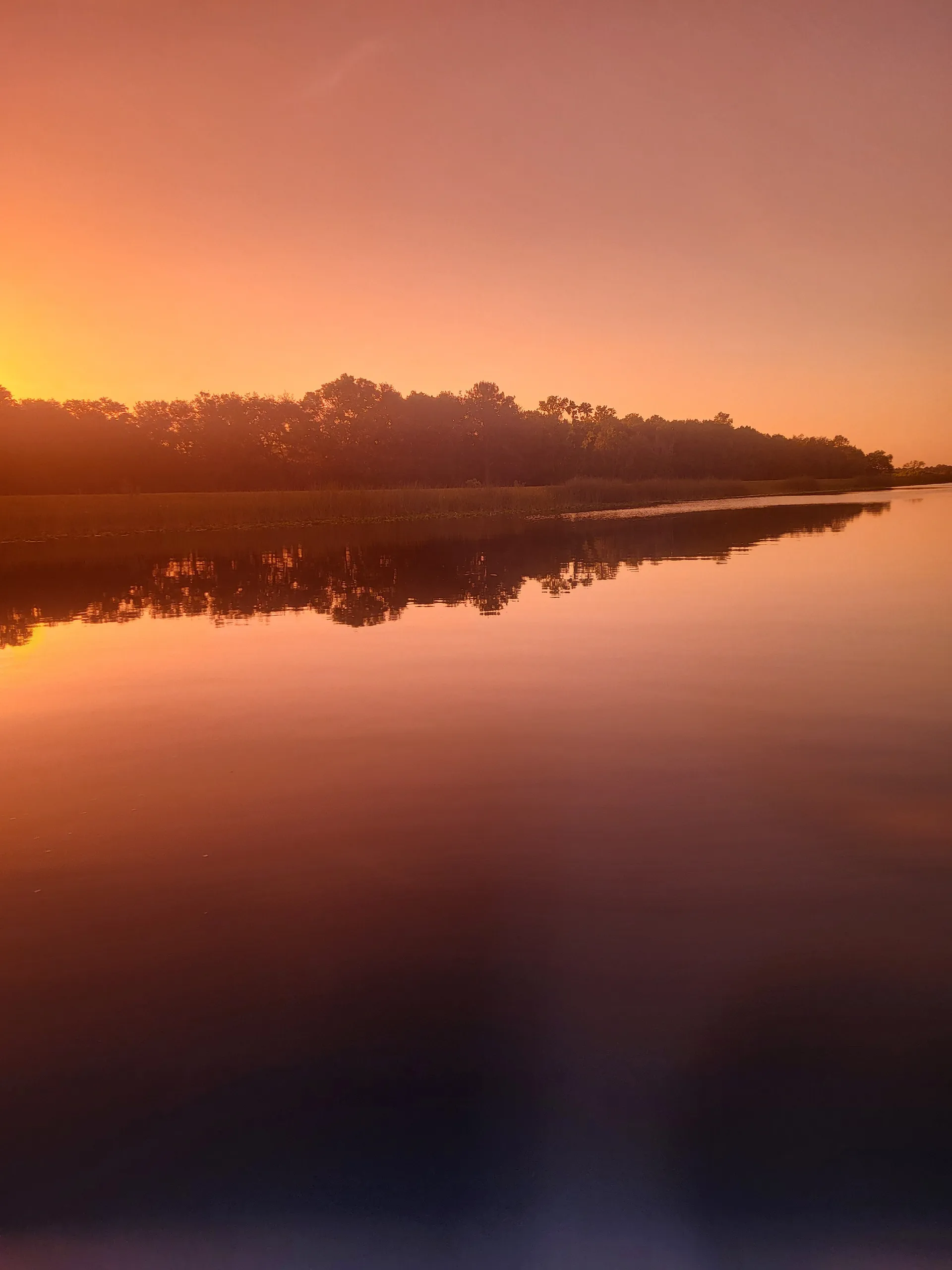 Bella-joy OnlyFans header