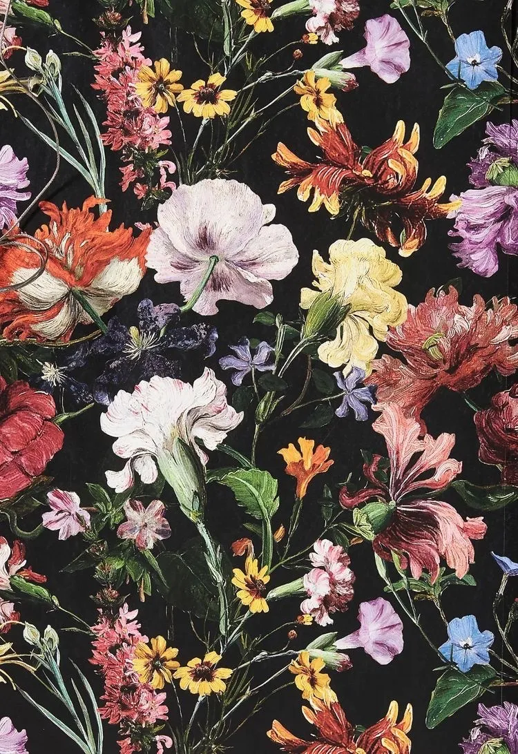 Bella OnlyFans header