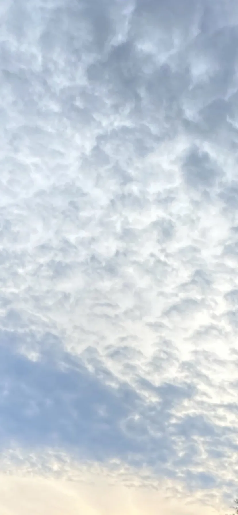 Bella🌸 OnlyFans header