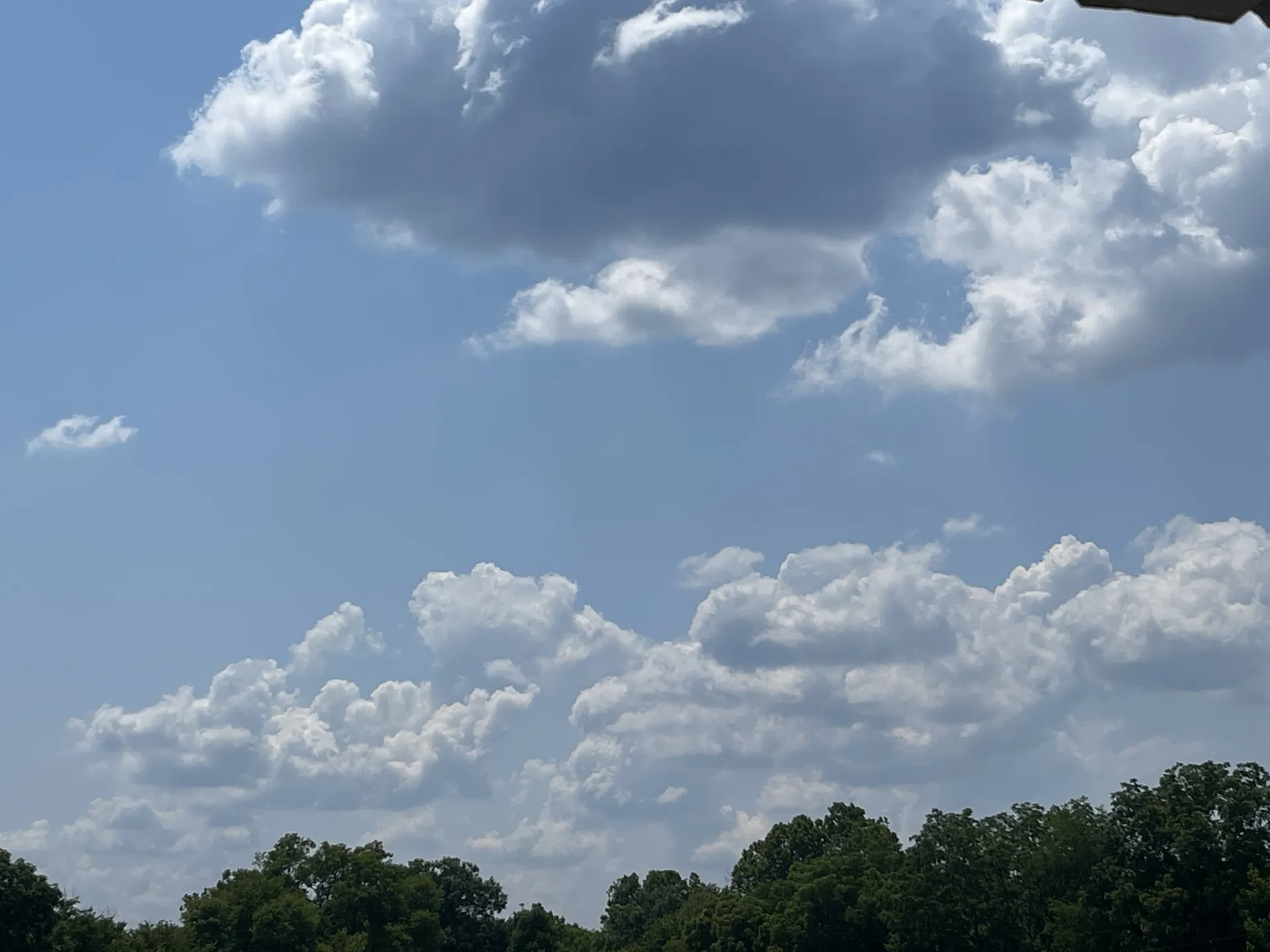 Bella OnlyFans header