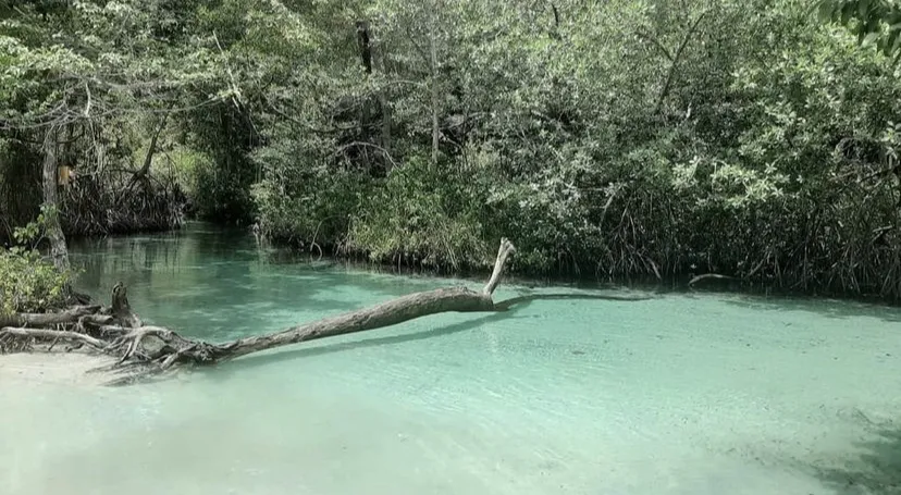 Bella_Feet_X OnlyFans header