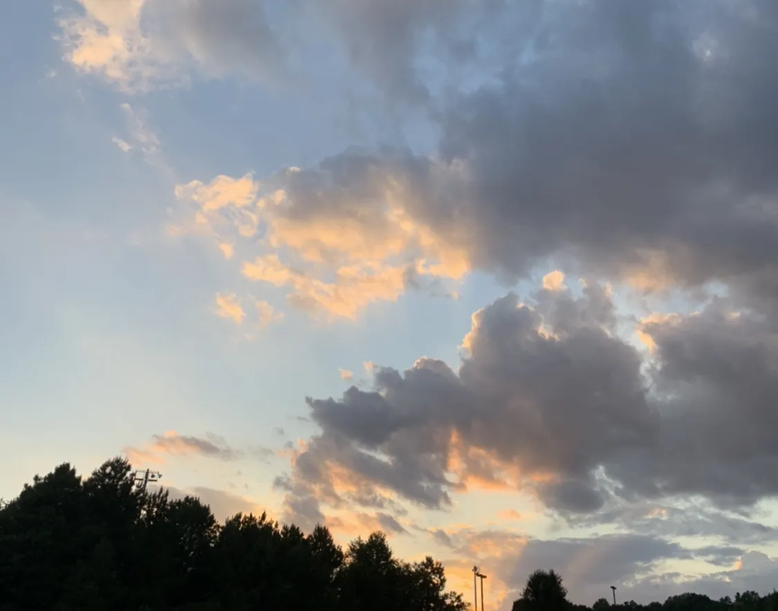 Bella OnlyFans header