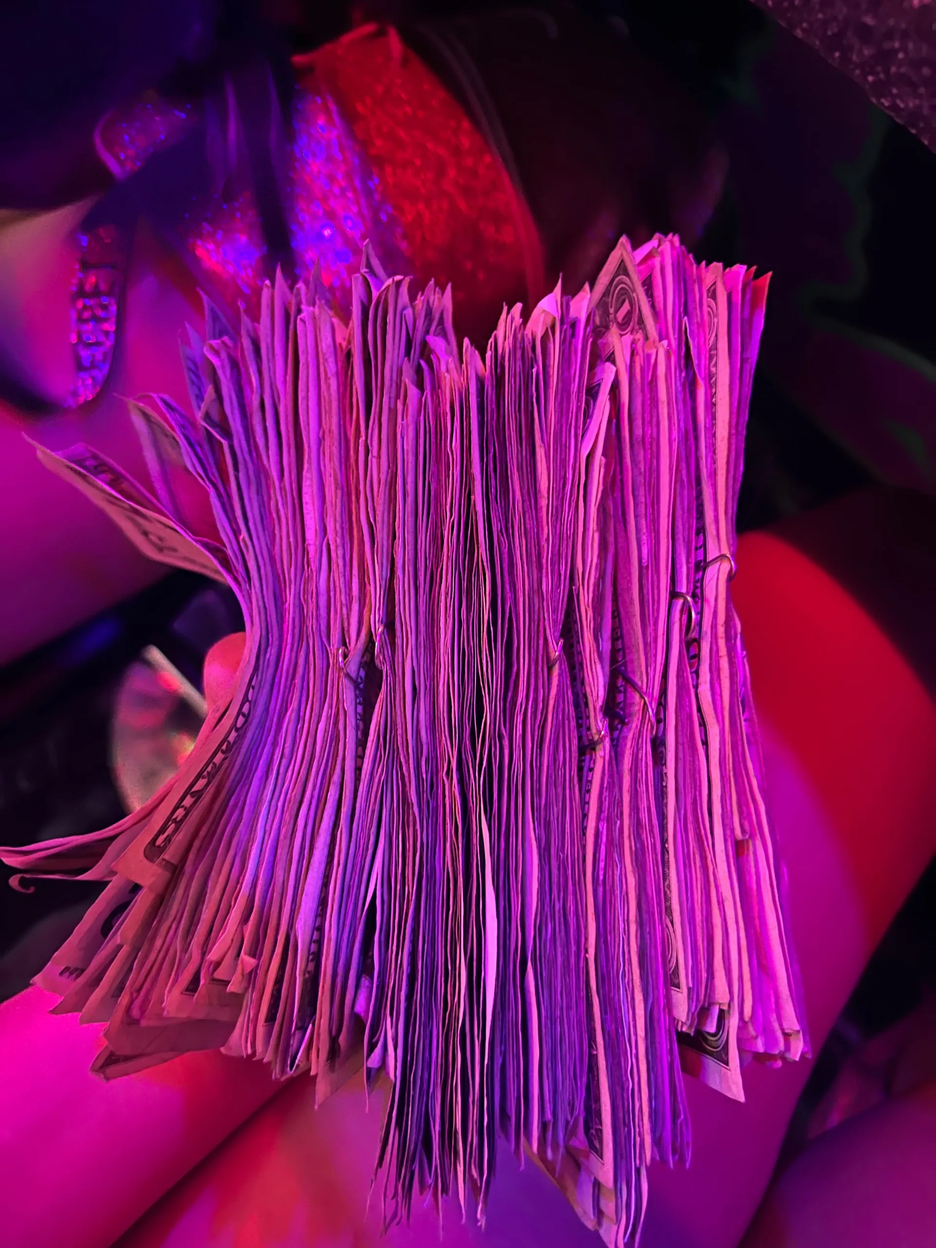 Bella Rose OnlyFans header