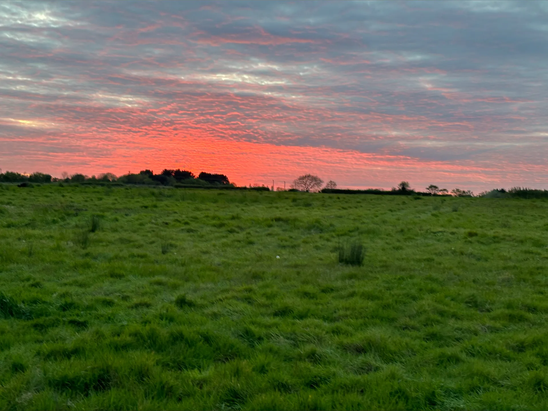 Isabella read OnlyFans header