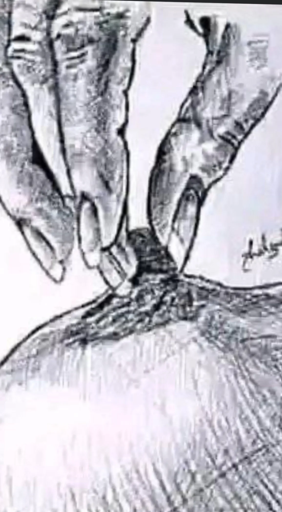 Bella_bandz OnlyFans header