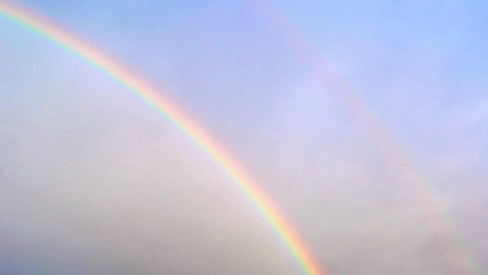 Bella OnlyFans header