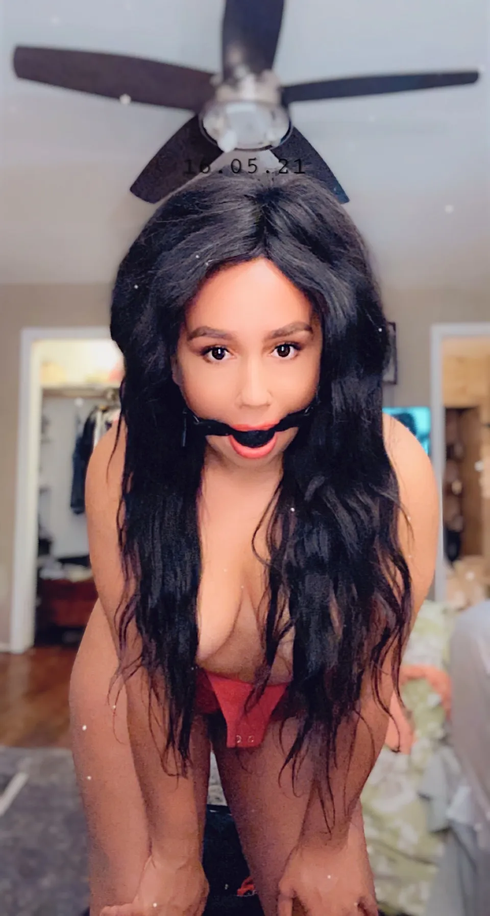 Bella Bee OnlyFans header