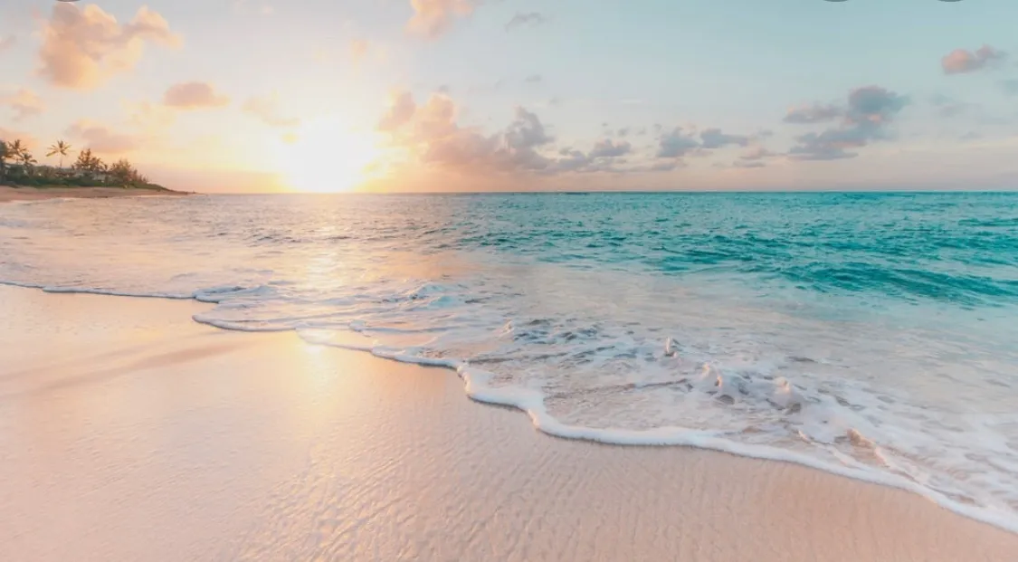 Bella Canva OnlyFans header