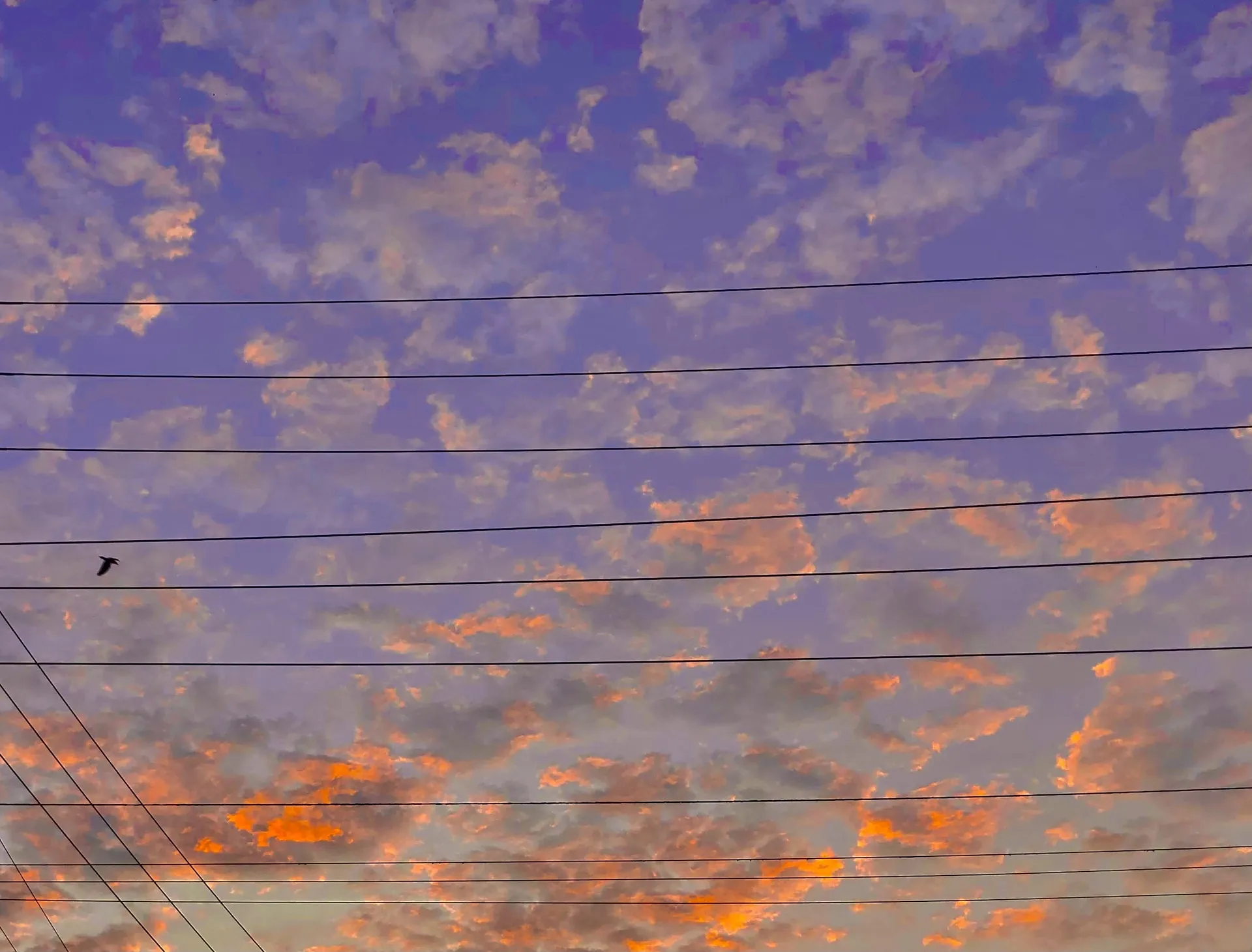 Bella Dita OnlyFans header