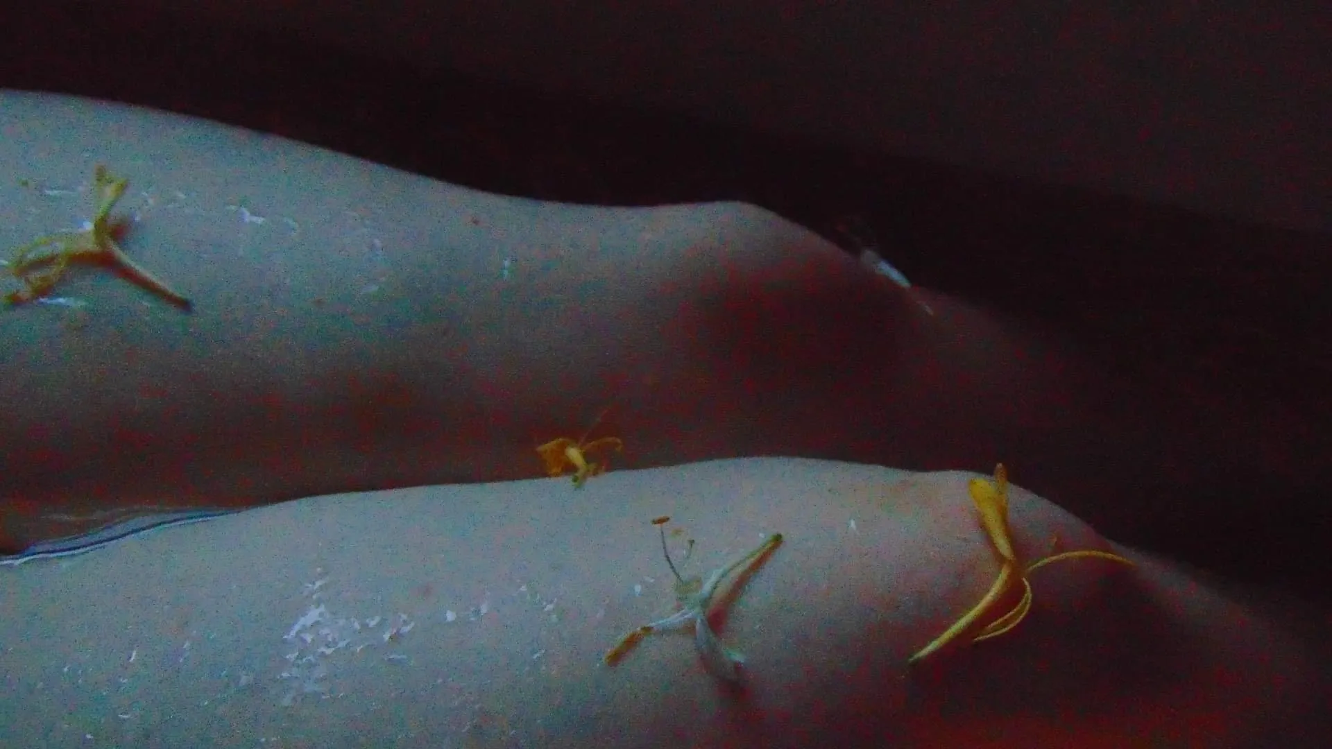 Bell ❤️‍🔥 OnlyFans header