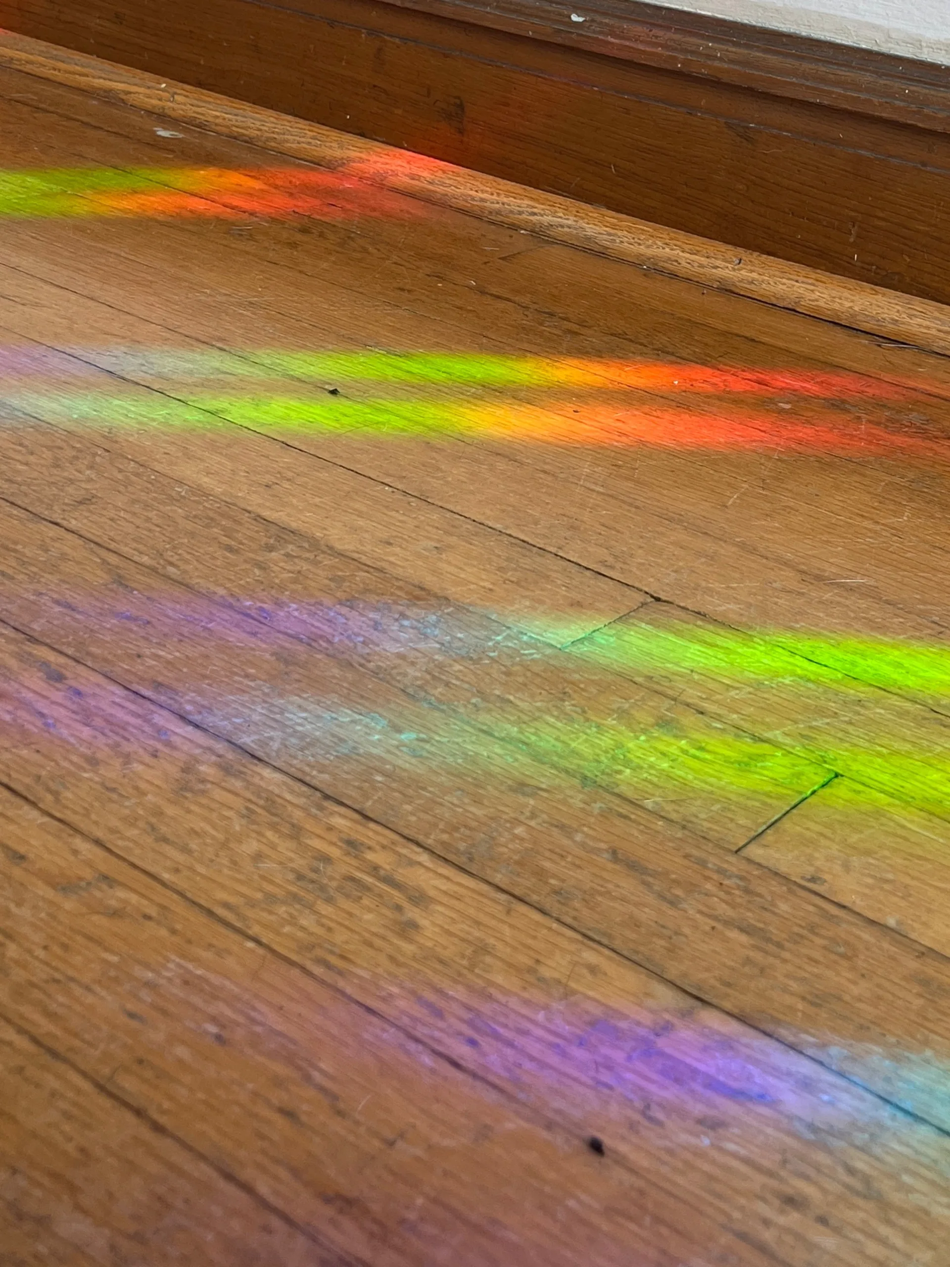 Belladonna OnlyFans header