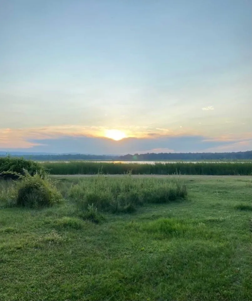 Belladonna OnlyFans header