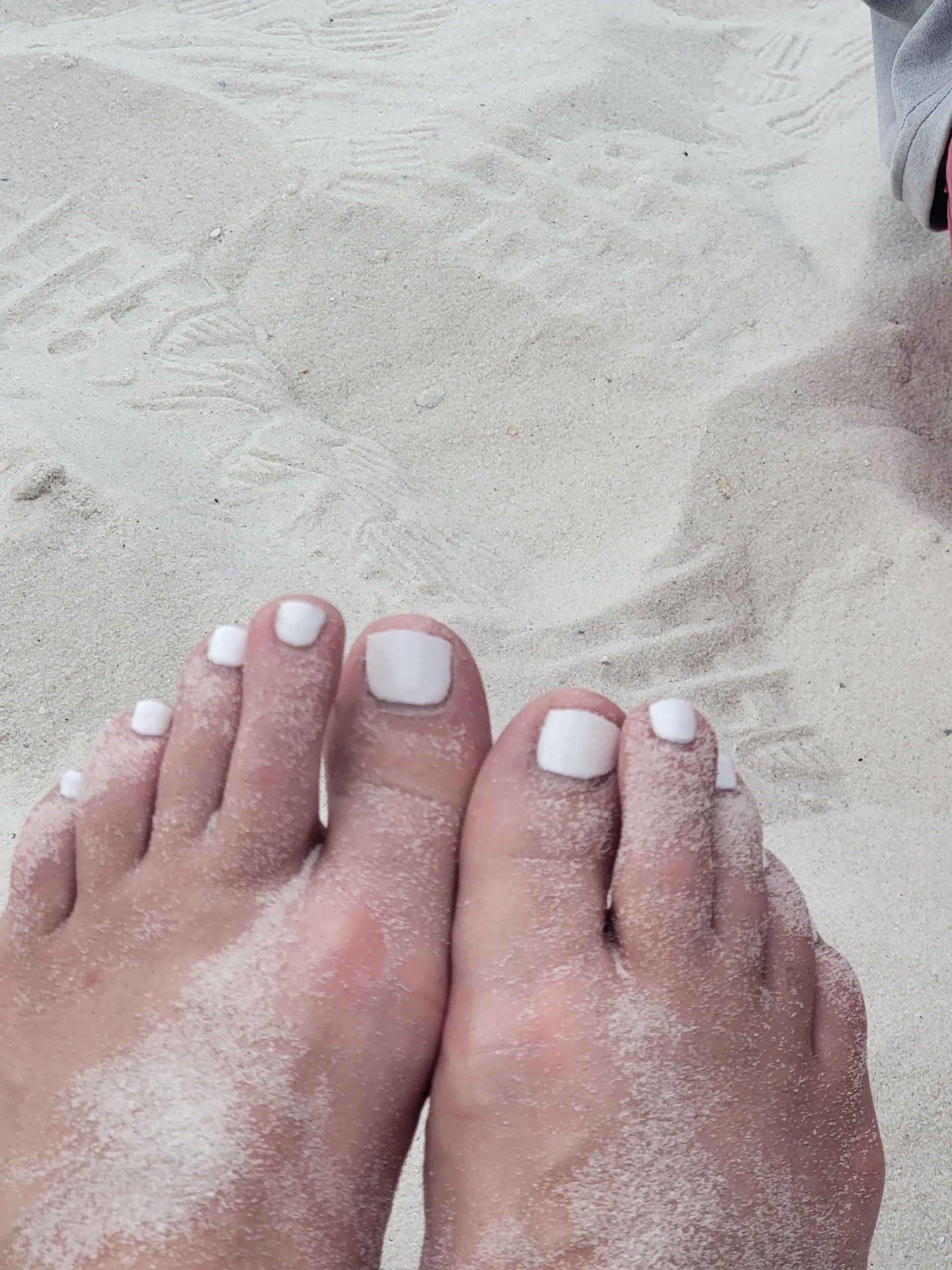 Belladonna Ash Free OnlyFans header