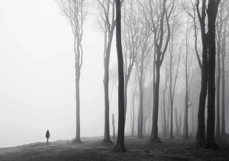 Belladonna OnlyFans header