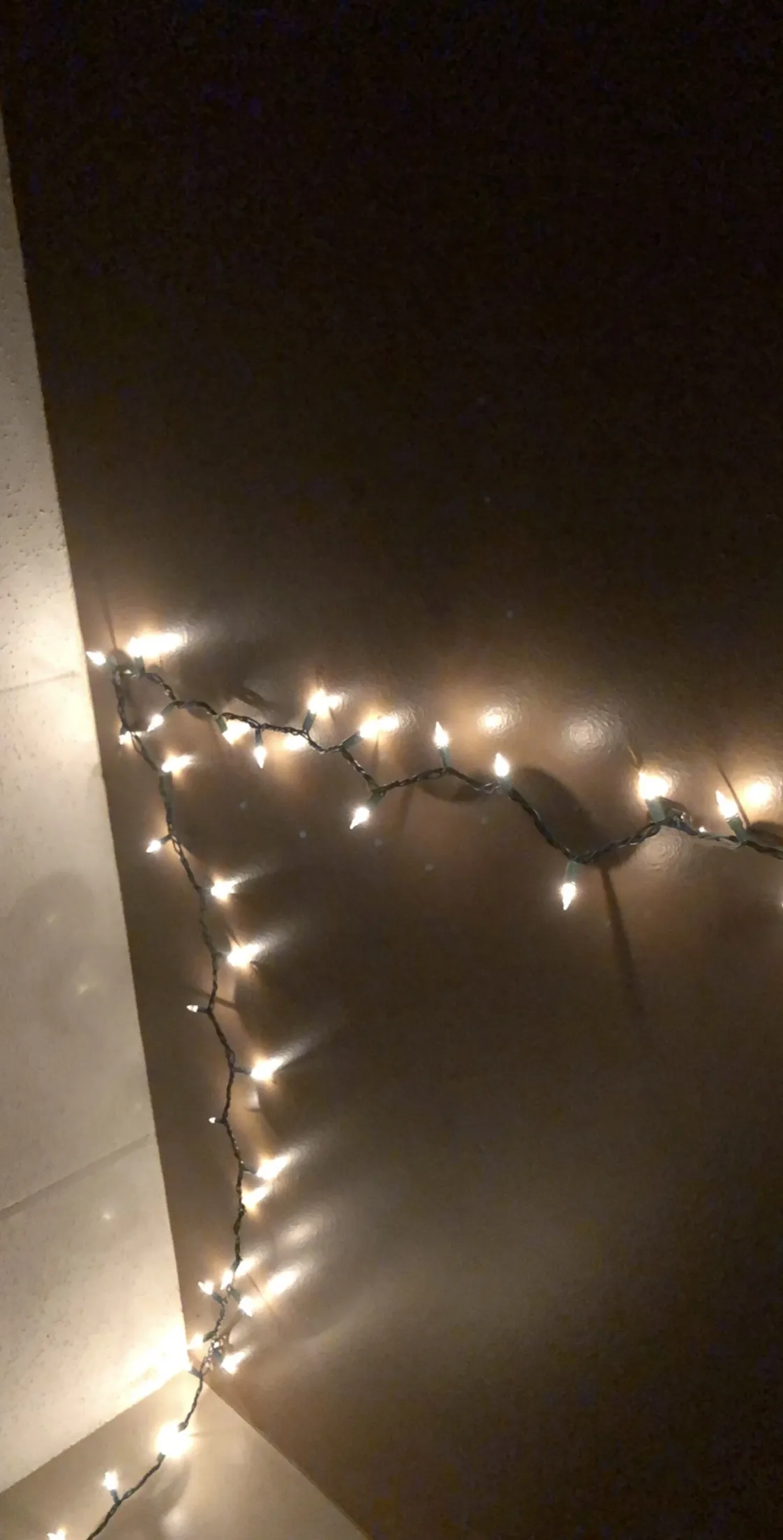 Sofia North OnlyFans header