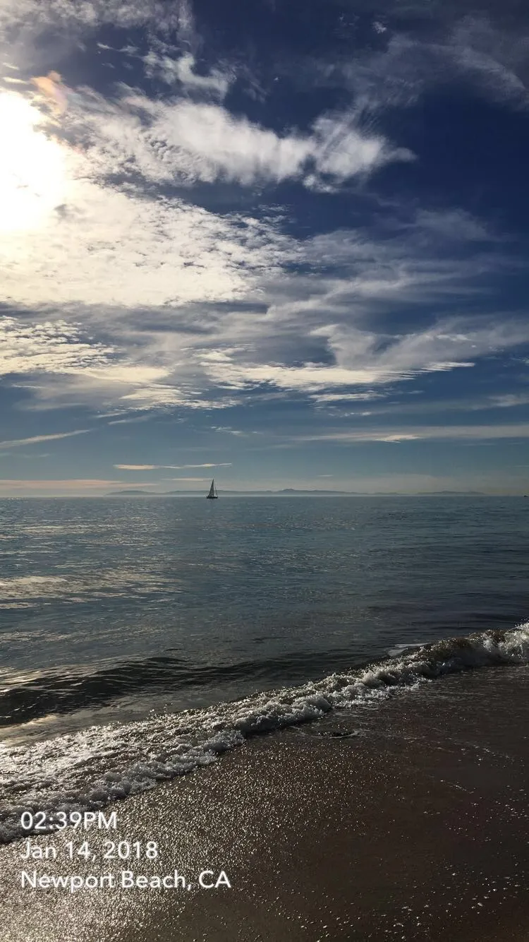 Miss Bella Flora OnlyFans header