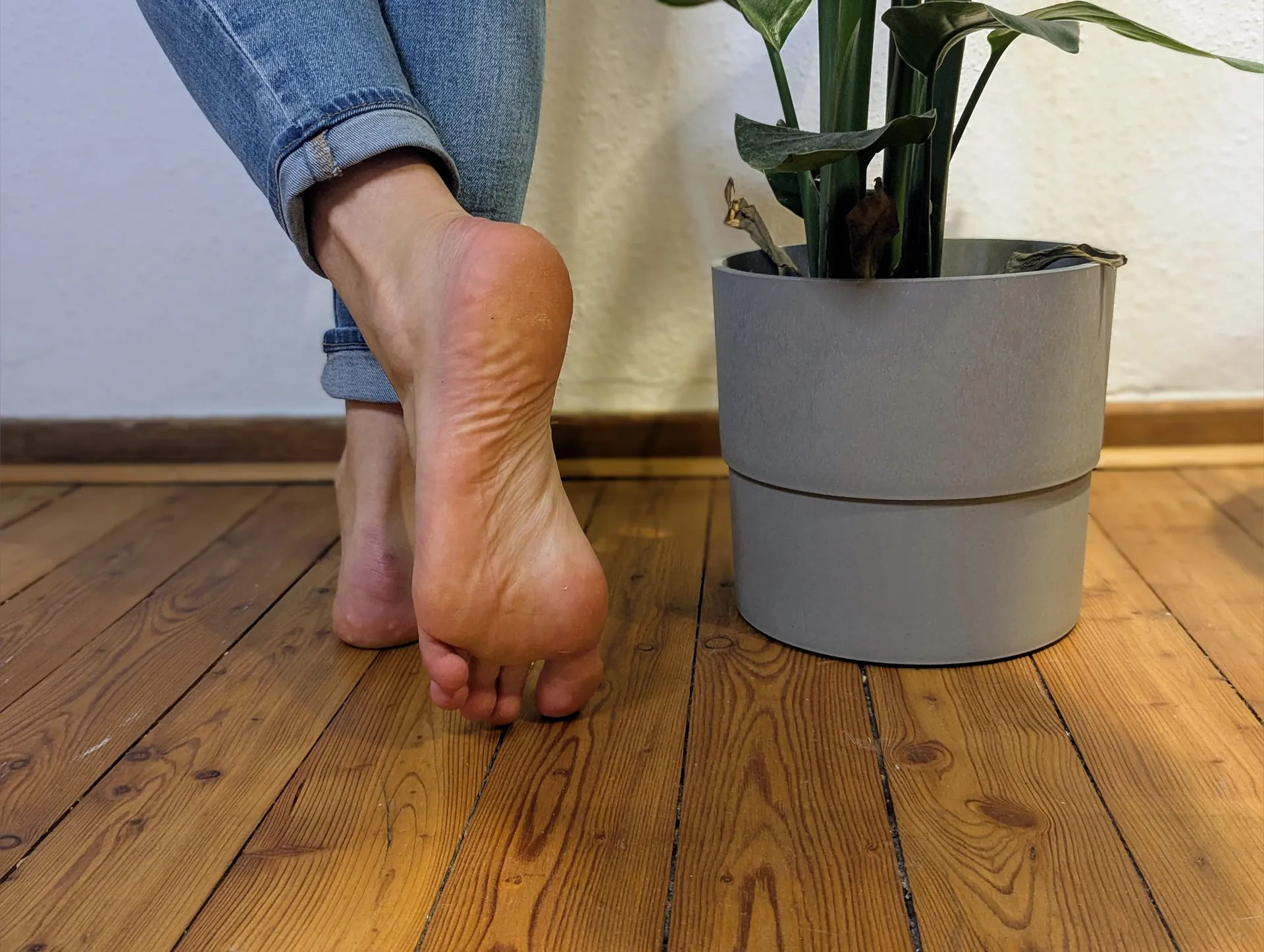 Goddess BellaFussara