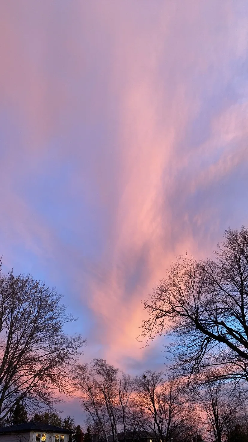 Bella OnlyFans header