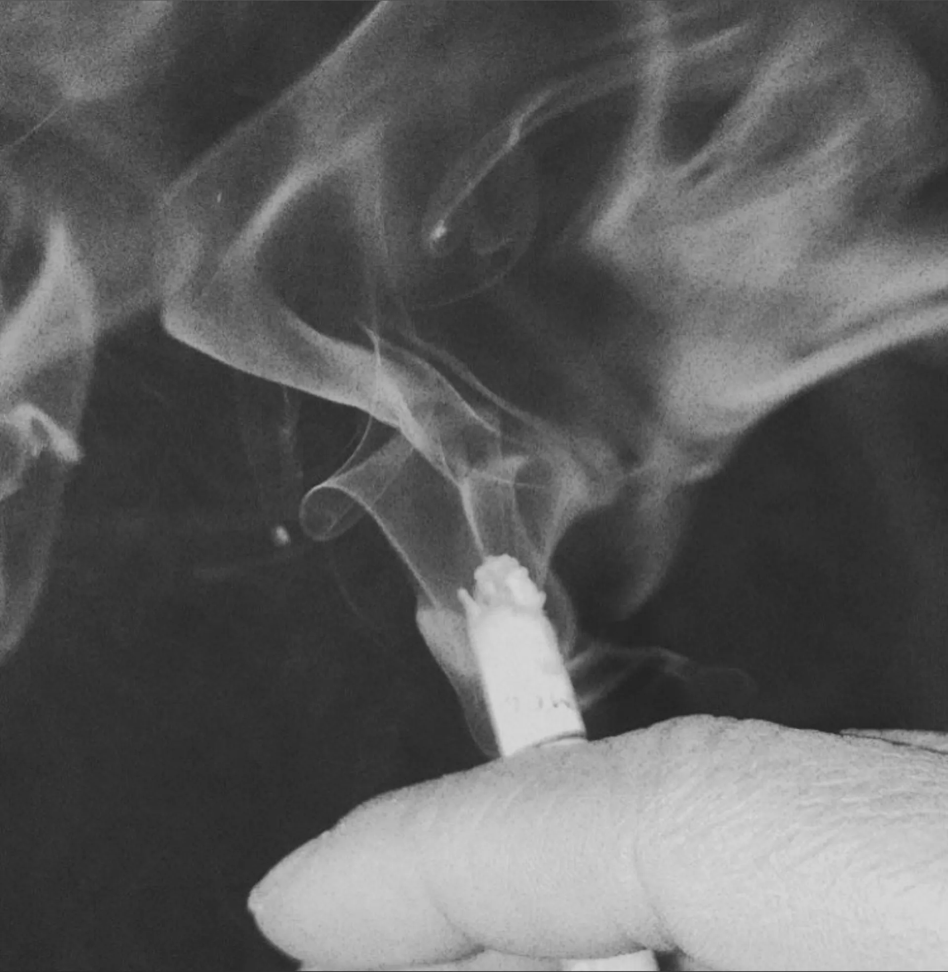 Bellatrixx🖤🔗🪦 OnlyFans header