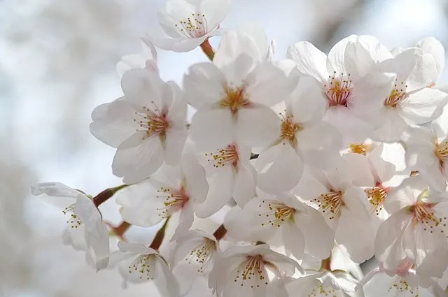 Annabella Jerrids OnlyFans header