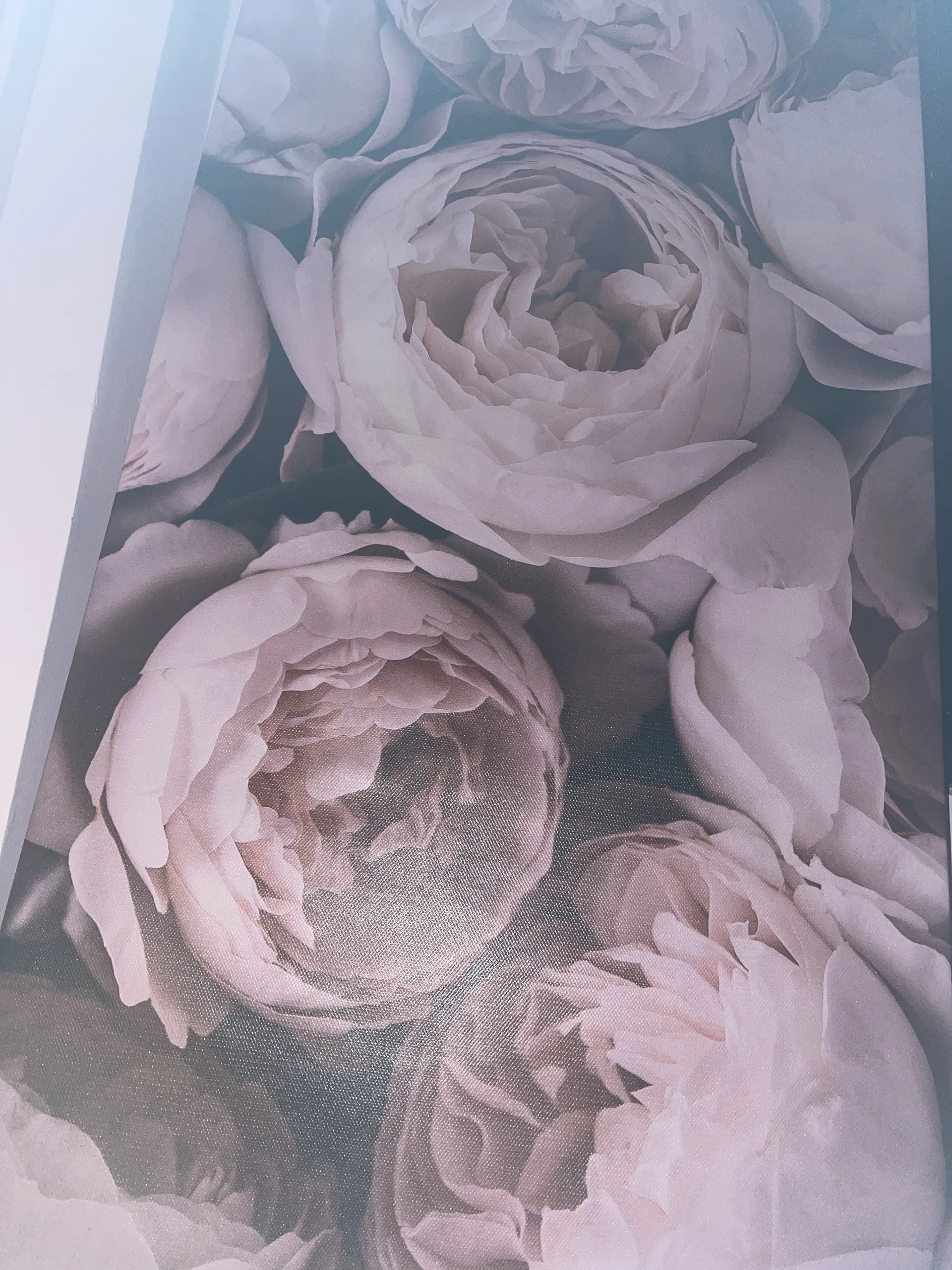 Barbie OnlyFans header