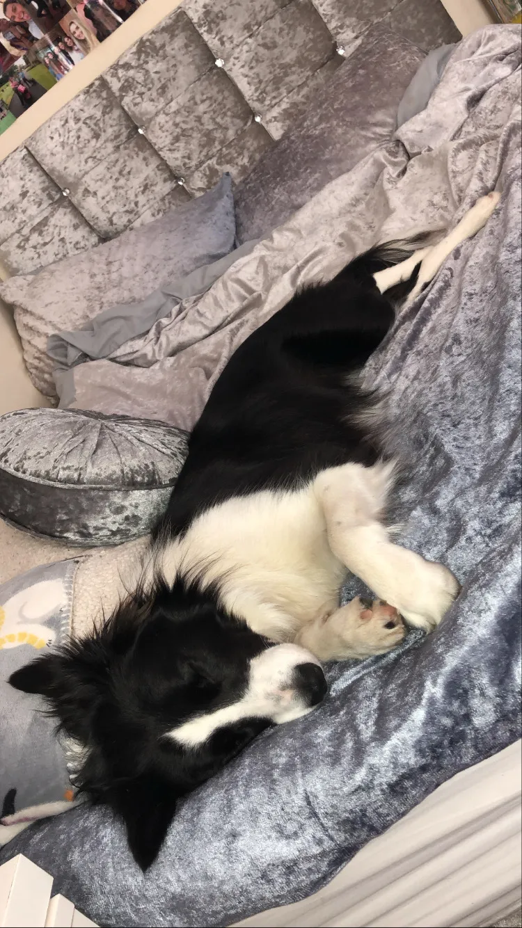 Bella lucia💓 OnlyFans header