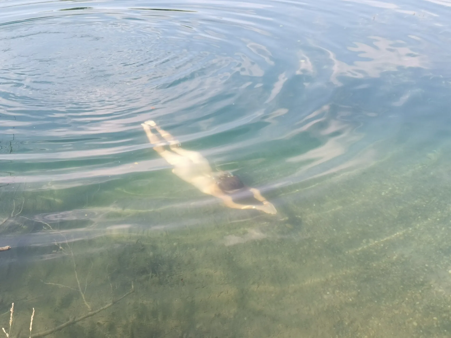 BellaLunaBlossOm OnlyFans header