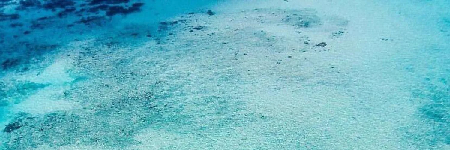 bellamariebb✨ OnlyFans header