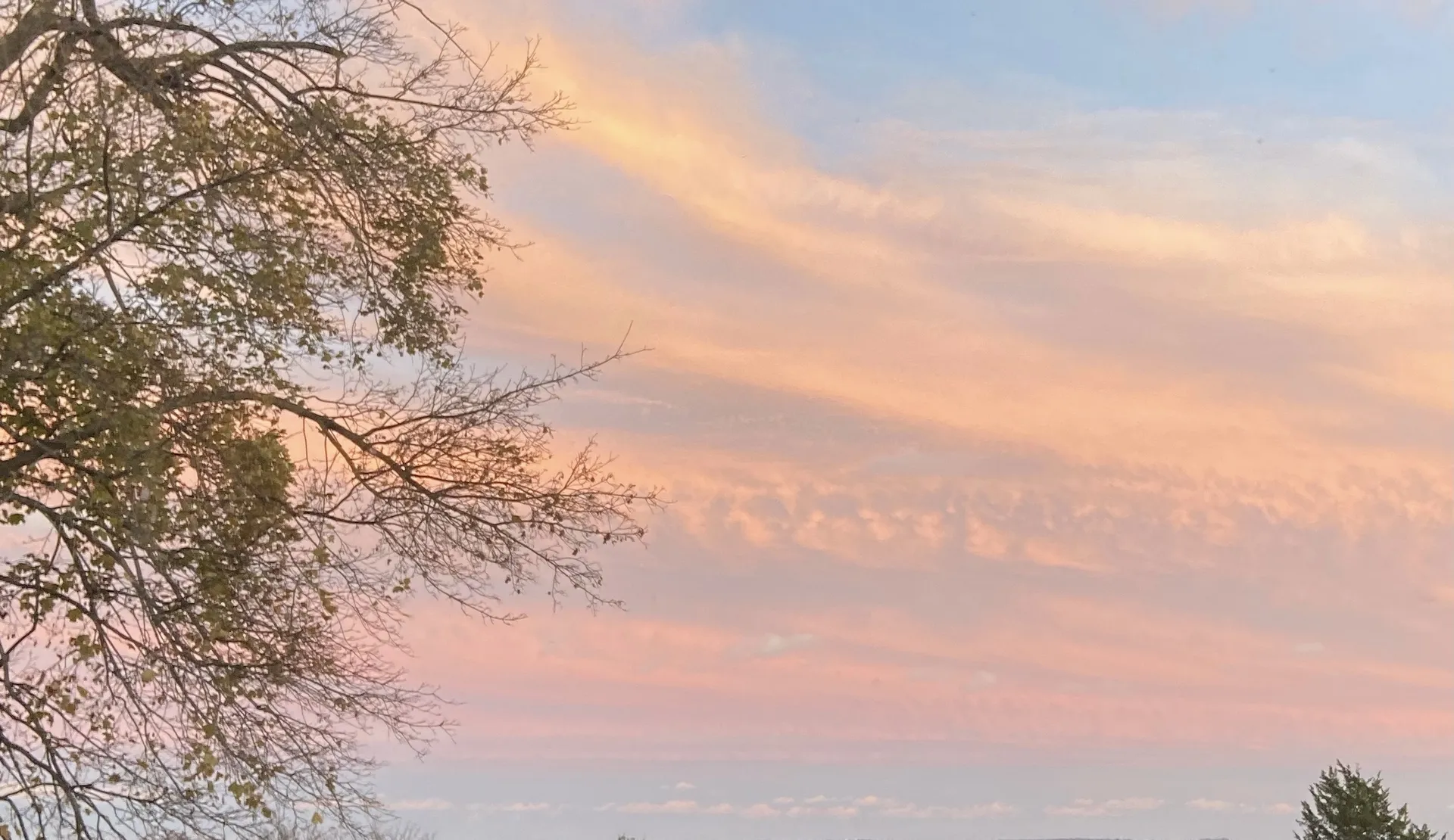 Bella OnlyFans header