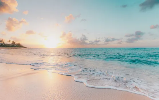 Bella Olsen OnlyFans header