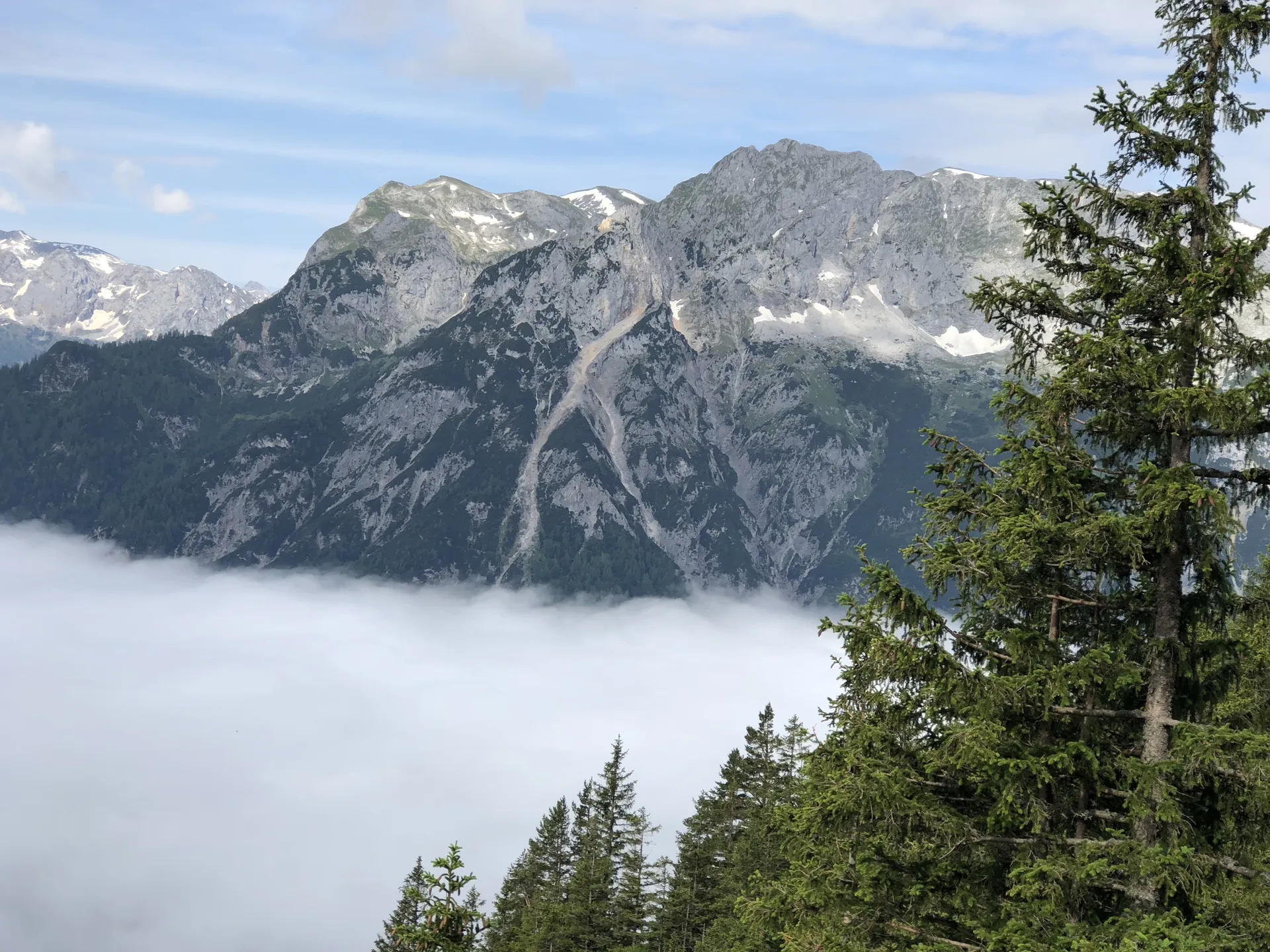 bella OnlyFans header