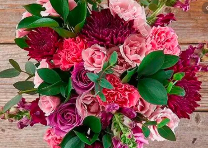 Bella OnlyFans header