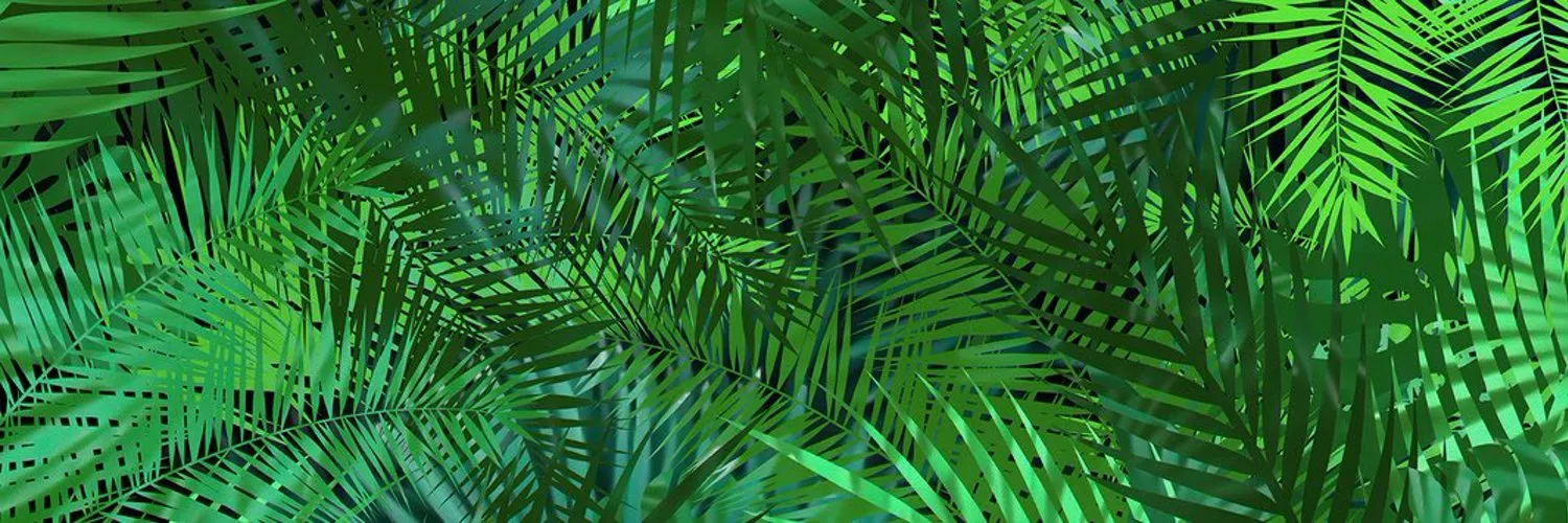 BELLA SAVV OnlyFans header