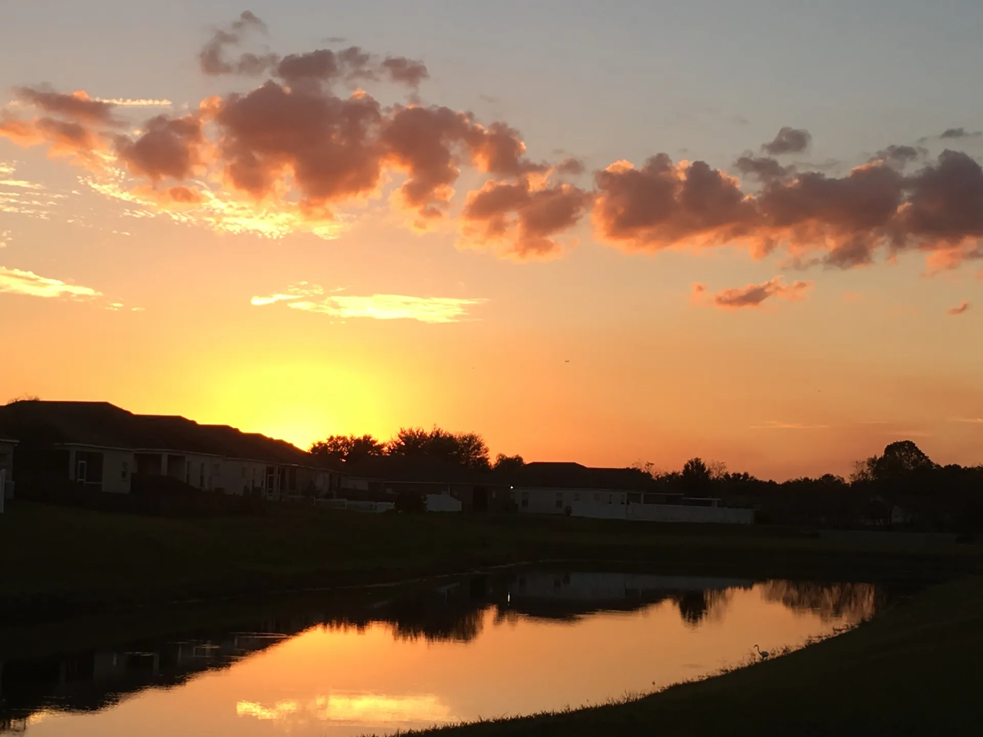 ☀️~BellaSun~☀️ OnlyFans header