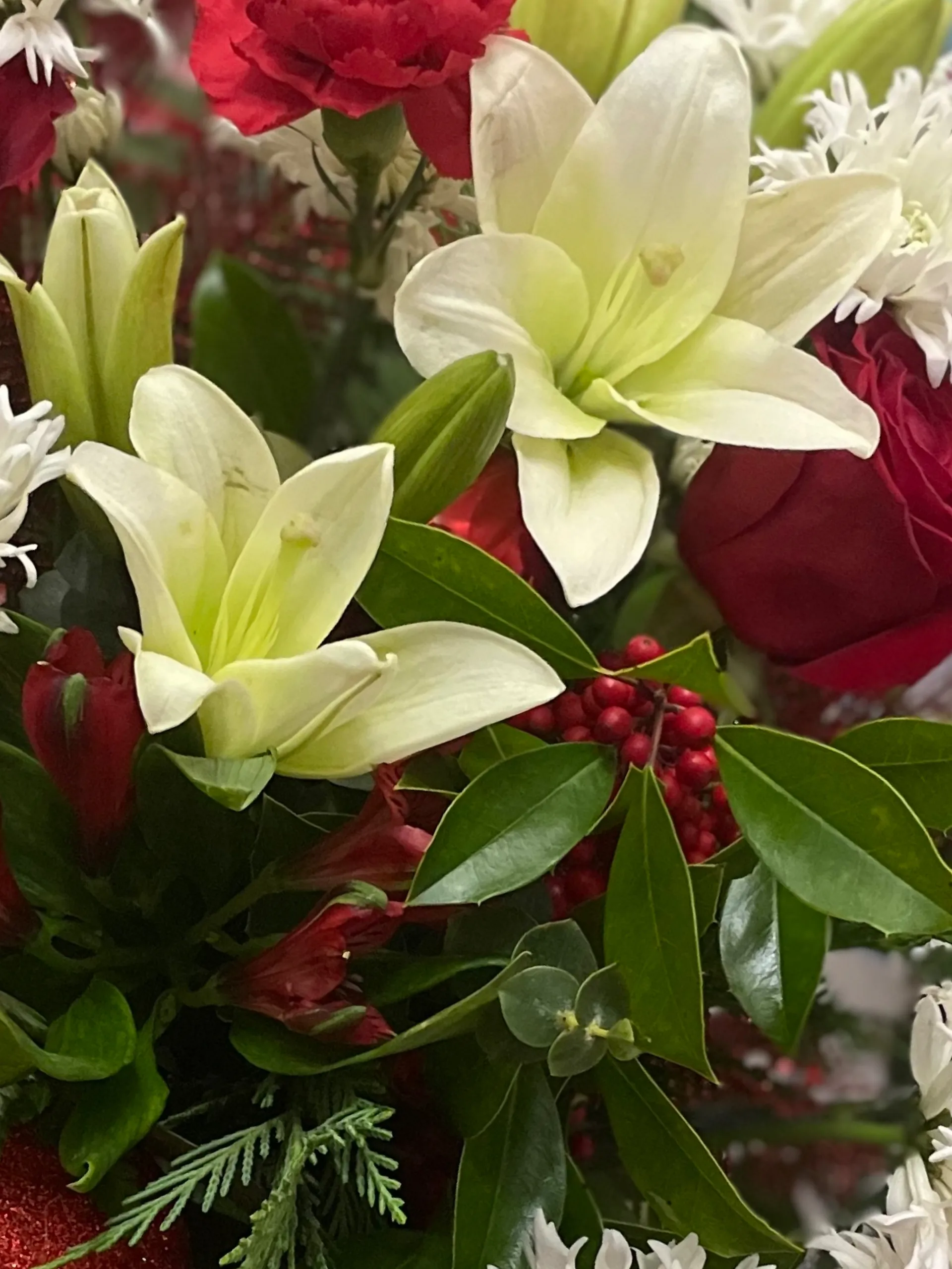 BellaSwan OnlyFans header