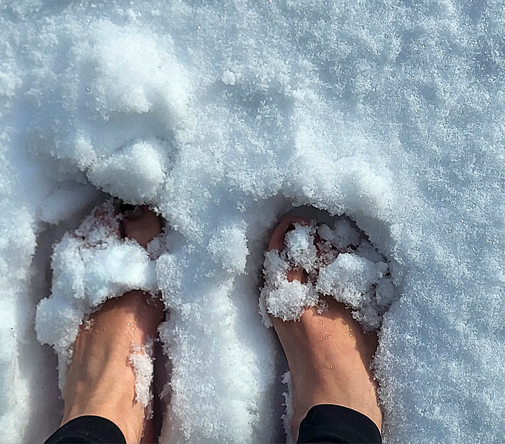 Bellatrix OnlyFans header