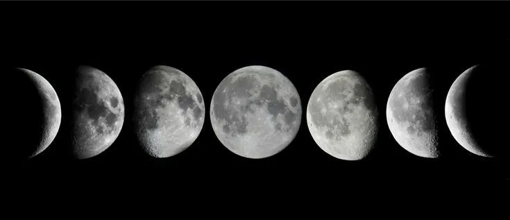 Bella Bordeaux OnlyFans header