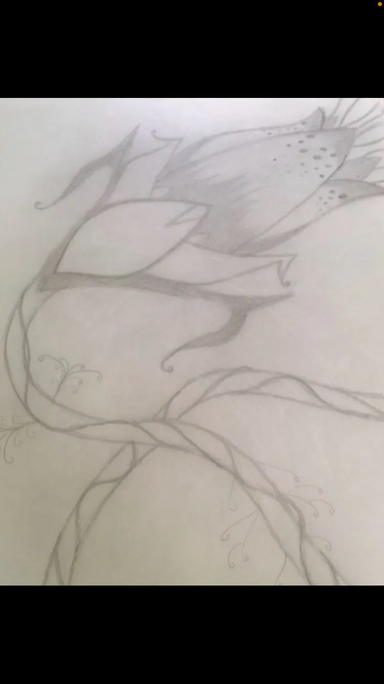 Belle OnlyFans header