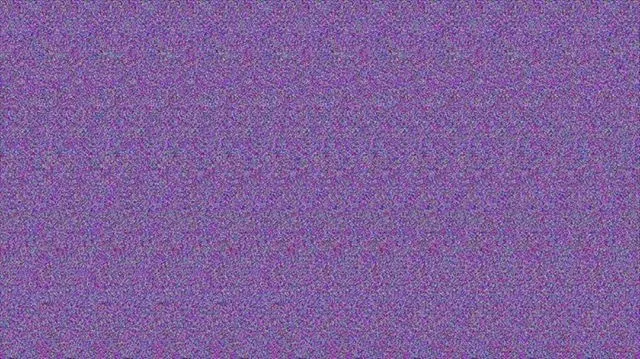 Bellebee OnlyFans header