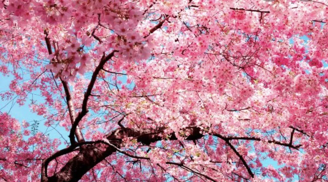 Brod143 OnlyFans header