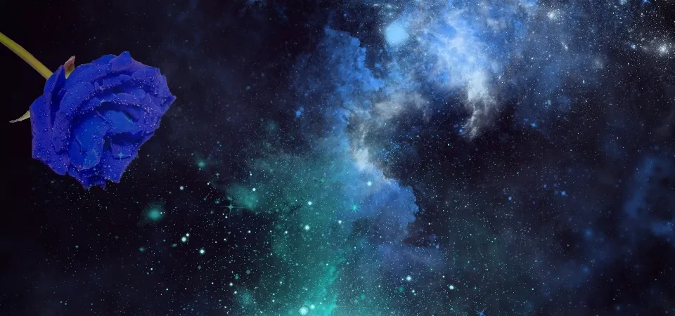 𝕭𝖊𝖑𝖑𝖊 OnlyFans header