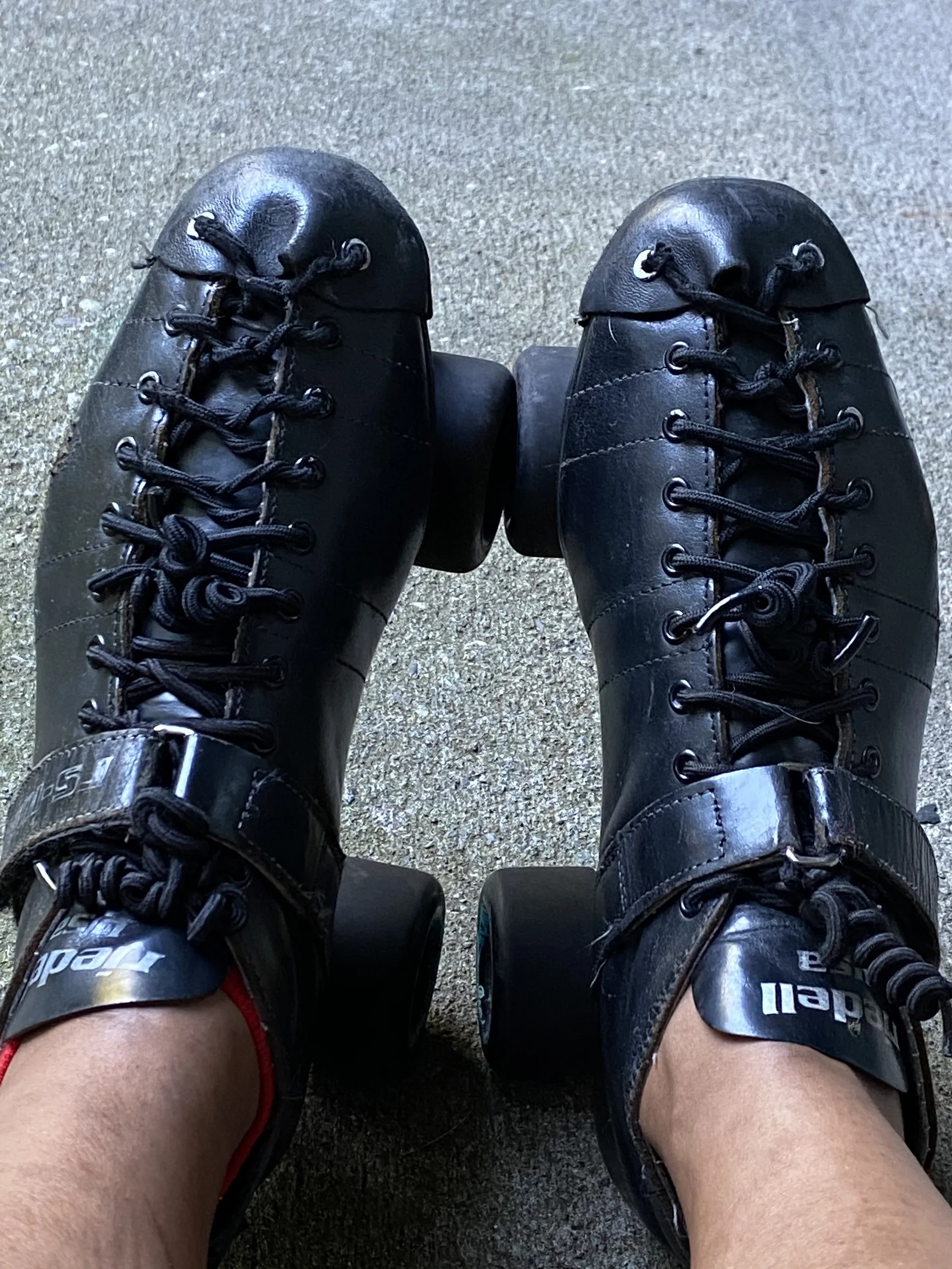 Belle Kitty OnlyFans header