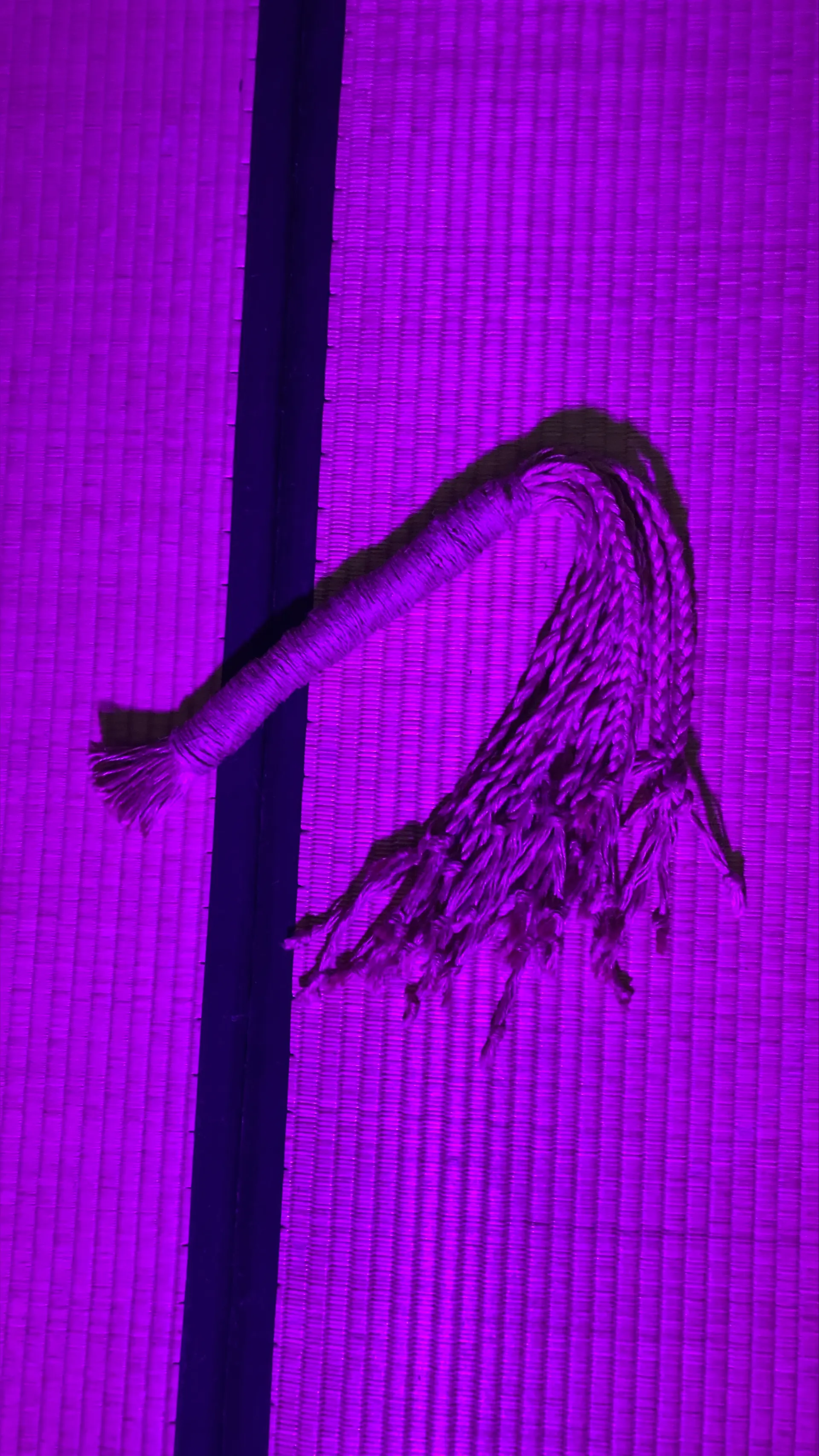 Bellerofonte OnlyFans header