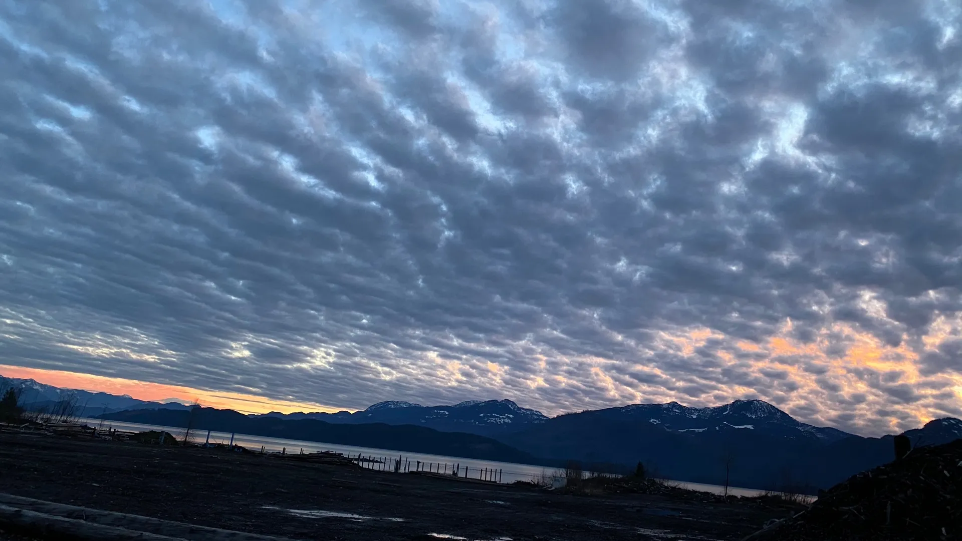 Bellethebeauty OnlyFans header