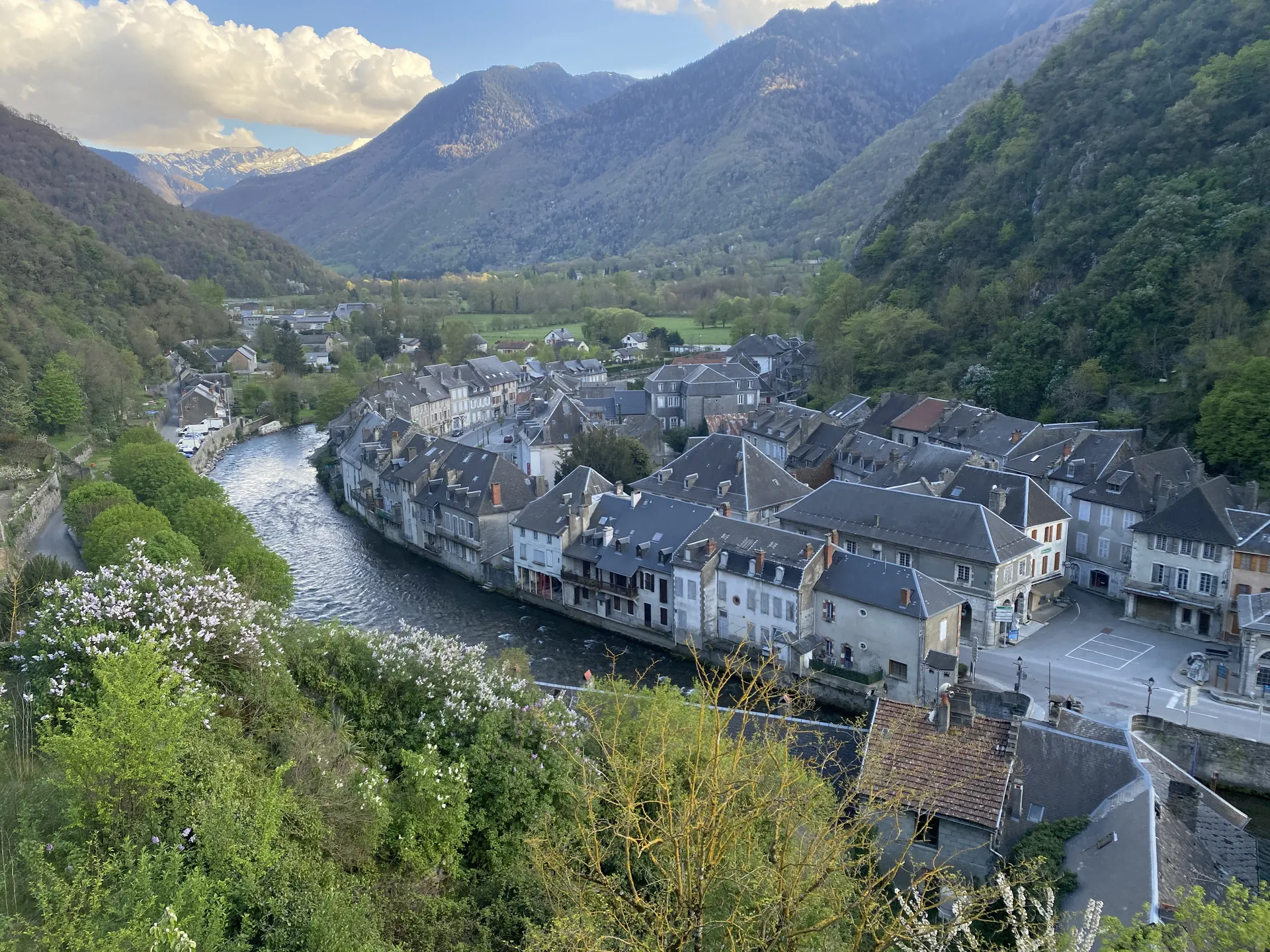 Belladona OnlyFans header