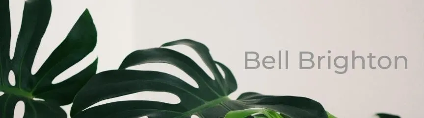 Bell Brighton OnlyFans header