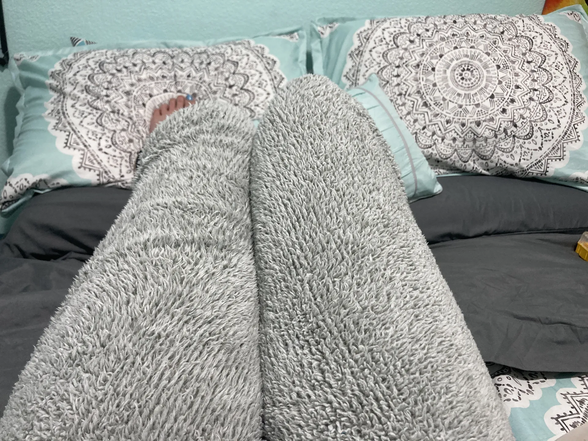 Bells OnlyFans header